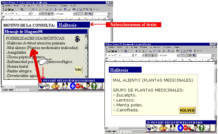 Diagnos98 - Plantas medicinales indicadas por enfermedad