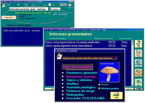 Diagnos98 - Ej. Intoxicaci�n por setas